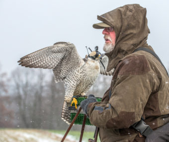 Vánoční Sokolnické Lovy Konopiště 15.12. 2018 (110)