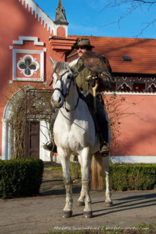 Moderni Sokolnictvi 1