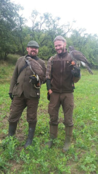 Moderni Sokolnictvi 19