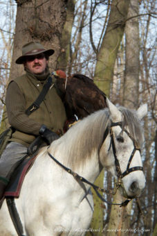 Moderni Sokolnictvi 36
