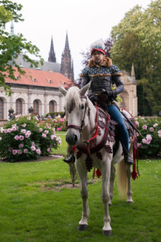 Hrad 29
